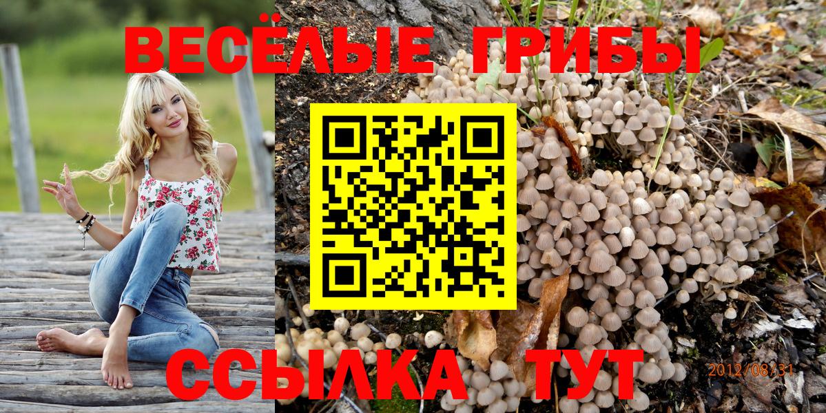 Псилоцибиновые грибы MAGIC MUSHROOMS  Вход с VPN  Касимов 